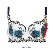 Brassiere